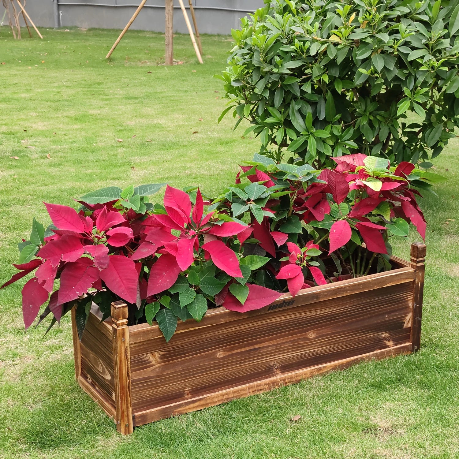 Raised Garden Bed Flower or Vegetable Planter Window Mounted Plant Box for Garden, Yard Wood Box for Planting