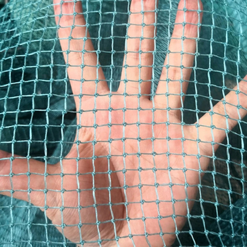 Grid 1cm Fishing net Gardening net Bird net aquaculture Agricultural protection net Agricultural protection Anti cat net