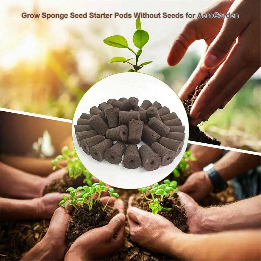 Seed Starter Pods Sponges 50PCS - Rapid Rooter Seed Starting Sponge - Seed Sprouter Smart Soil Replacement Plugs For Indoor Herb