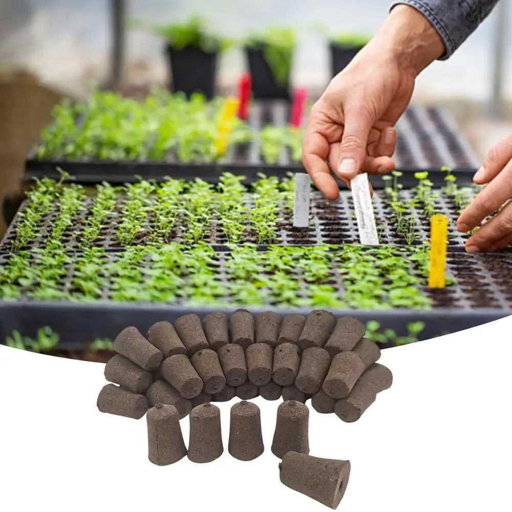 Seed Starter Pods Sponges 50PCS - Rapid Rooter Seed Starting Sponge - Seed Sprouter Smart Soil Replacement Plugs For Indoor Herb