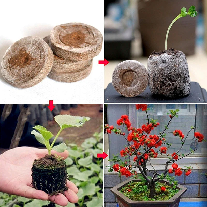 20pcs 30mm Peat Pellets Seed Starting Plugs Seeds Starter Pallet Nutrient Substance Medium Seedling Flower Planting Soil