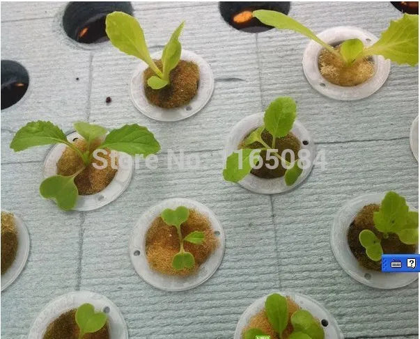 garden supplies hydroponic seeds vegetables foam cubes pot for starting seed for hydroponics system2.3*2.3 (117PCS/lot).