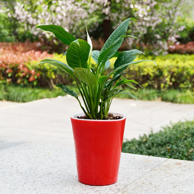 Automatic Self Watering Flower Plants Pot Put In Floor Irrigation For Garden Indoor Home Decoration Gardening Flower Pots 3 Size