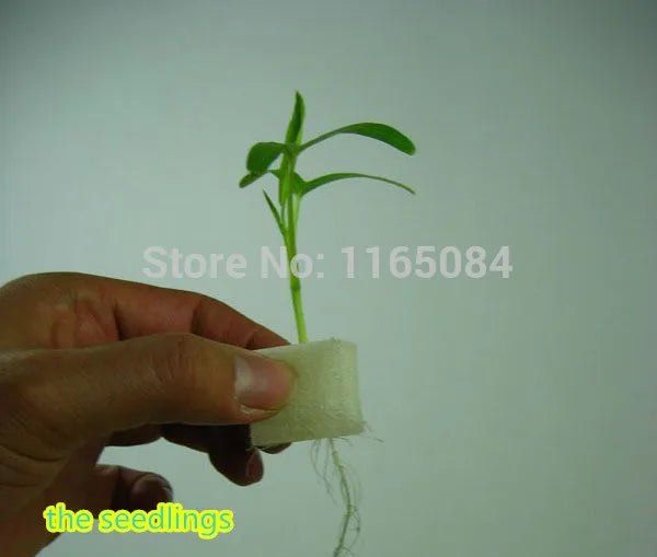 garden supplies hydroponic seeds vegetables foam cubes pot for starting seed for hydroponics system2.3*2.3 (117PCS/lot).