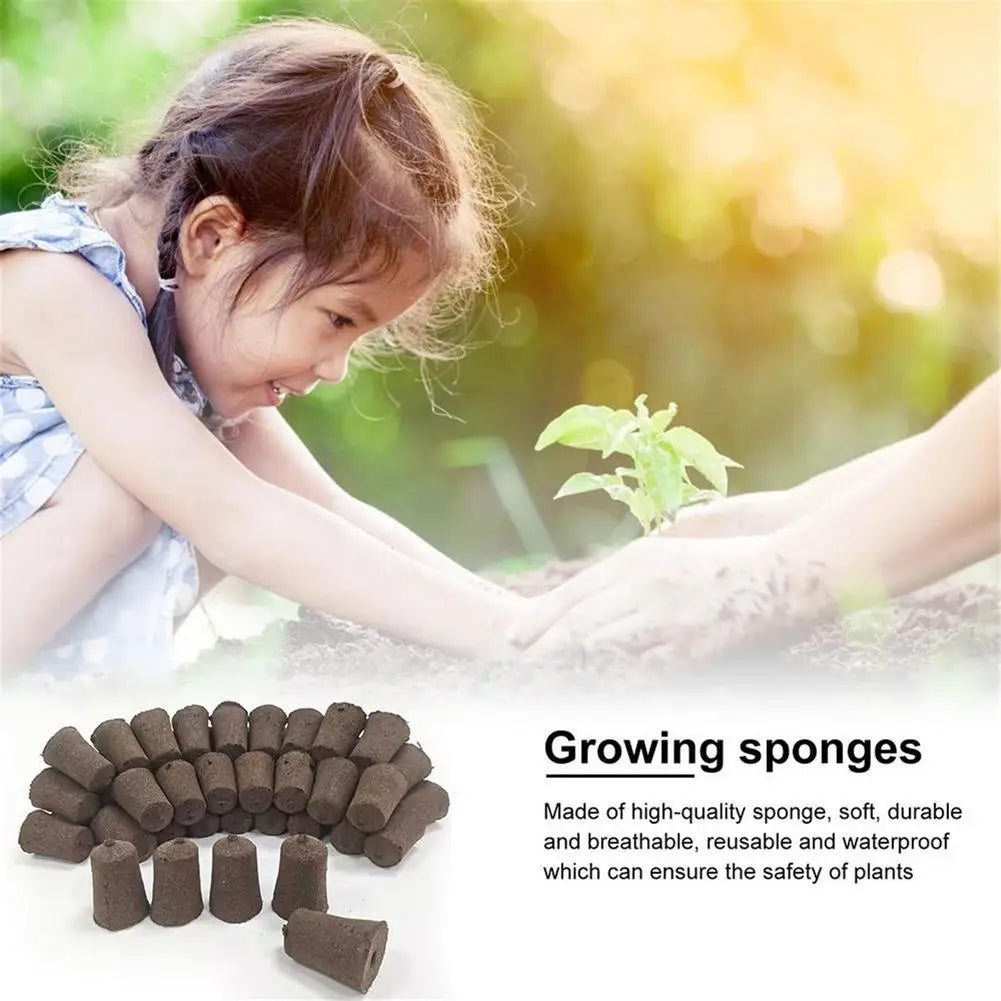 Seed Starter Pods Sponges 50PCS - Rapid Rooter Seed Starting Sponge - Seed Sprouter Smart Soil Replacement Plugs For Indoor Herb