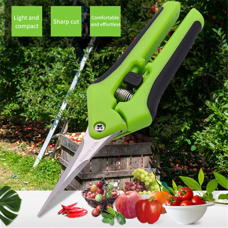 Garden Tools Secateurs Bonsai Shears Metal Gardening Scissor Pruning Tool Hand Cutter Grape Fruit Picking Weed Household Potted