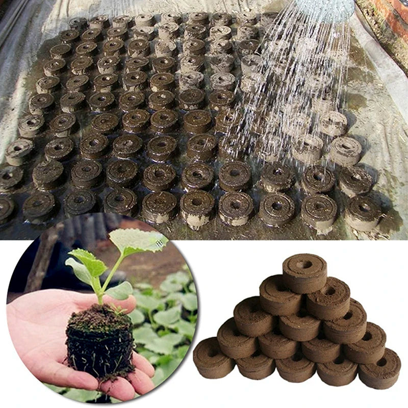 20pcs 30mm Peat Pellets Seed Starting Plugs Seeds Starter Pallet Nutrient Substance Medium Seedling Flower Planting Soil