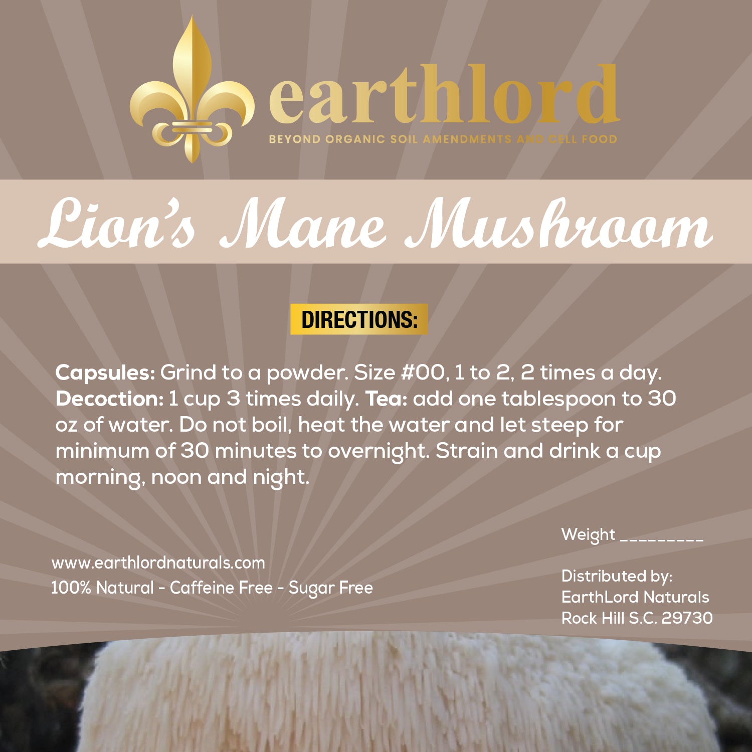 Lion’s Mane Mushroom