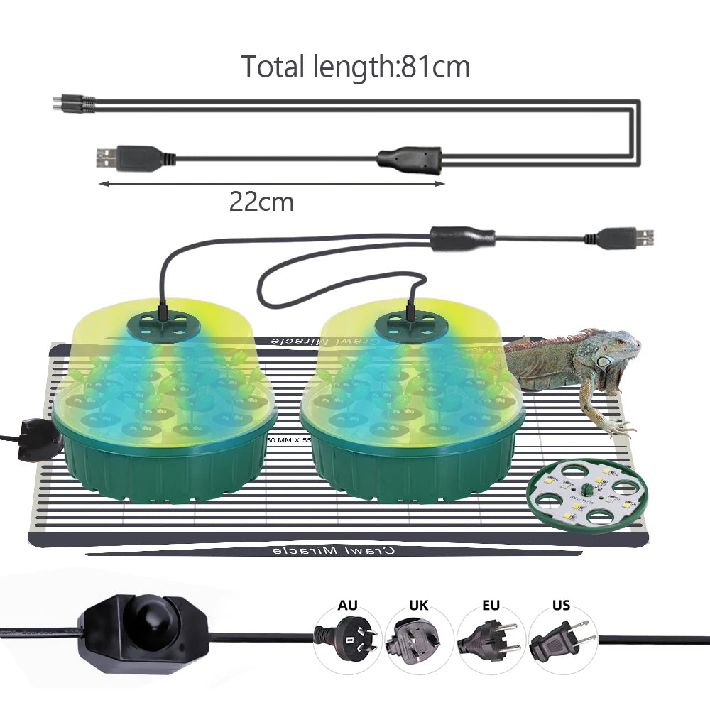 25W Plant Warm Heating Pad with Round Seed Starter Tray Germination Box with LED Grow Light Greenhouse Growing Trays with Holes