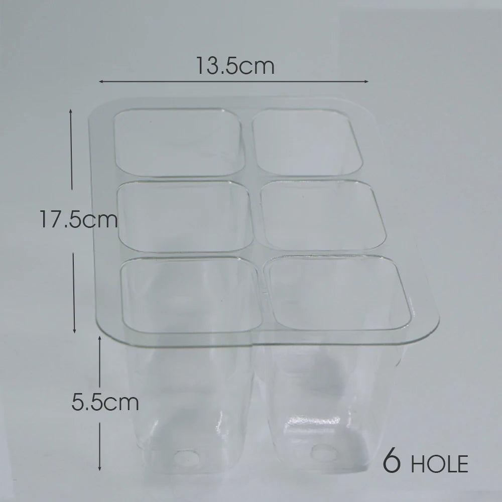 6/12 Cell PET Seeds Starter Tray Plastic Transparent Nursery Growing Pots for Garden Indoor Plant Vegetable Seedlings Container