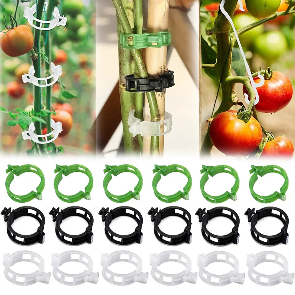 100/1Pcs Plant Support Clips Supports Connects Reusable Grafting Fixing Buckle For Support Grape Vines Tomato Gardening Supplies