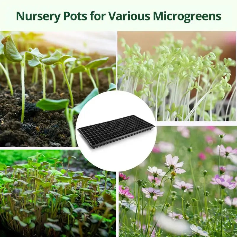 20Pcs Seed Starter Trays Plants Growing Trays PET Seed Started Plug Trays Mini Propagator Nursery Pots For Flowers Seed Growing