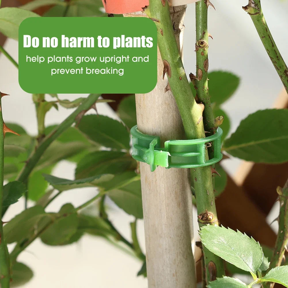 100/1Pcs Plant Support Clips Supports Connects Reusable Grafting Fixing Buckle For Support Grape Vines Tomato Gardening Supplies