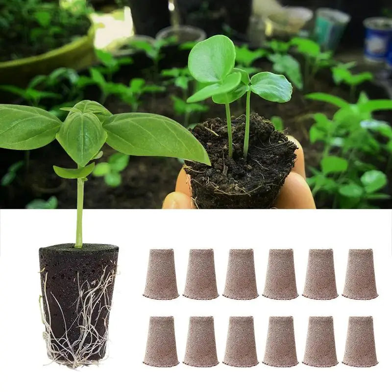 12Pcs Root Growth Sponges Plant Seed Starter Pods Seed Starting Seed Pods Easy To Use Seed Root Sponge Plug For Gardening