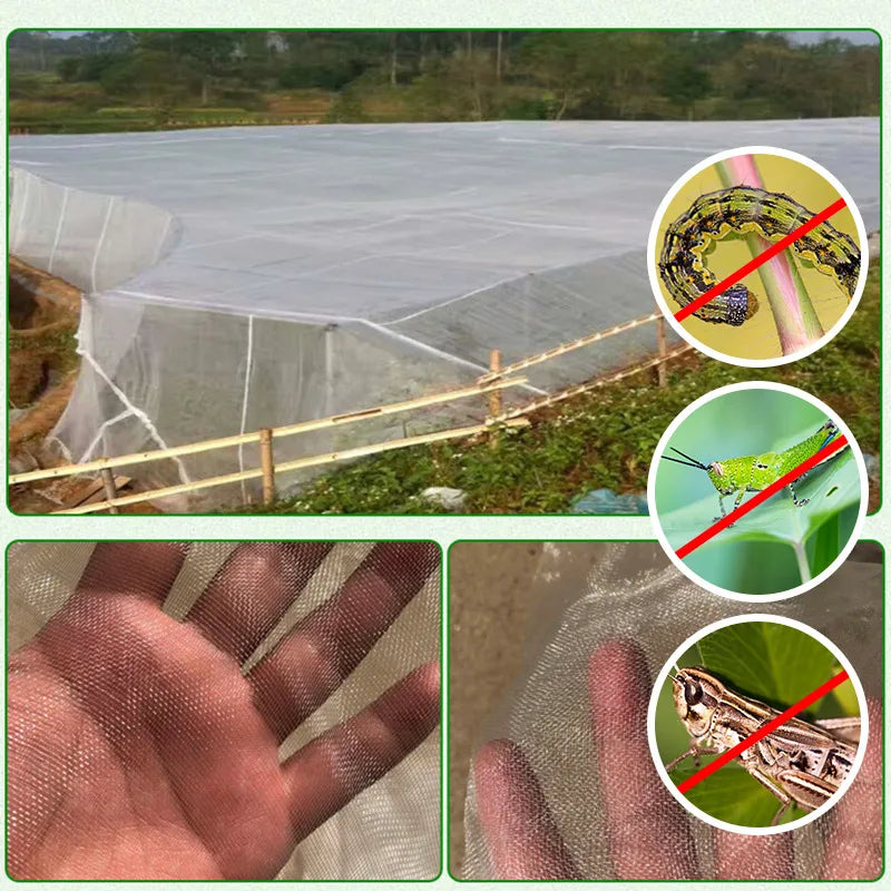 Plant Protection Net Garden Fruit Care Cover Flowers Greenhouse Protective Net Pest Control Anti-Bird 60 Meshs