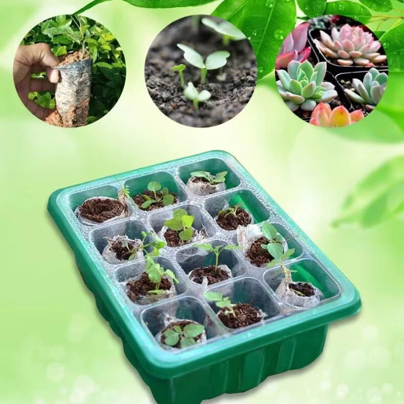 New 12 Holes Seedling Trays Seed Starter Starter Plant Flower Grow Box Propagation for Gardening Grow Starting Germination Box