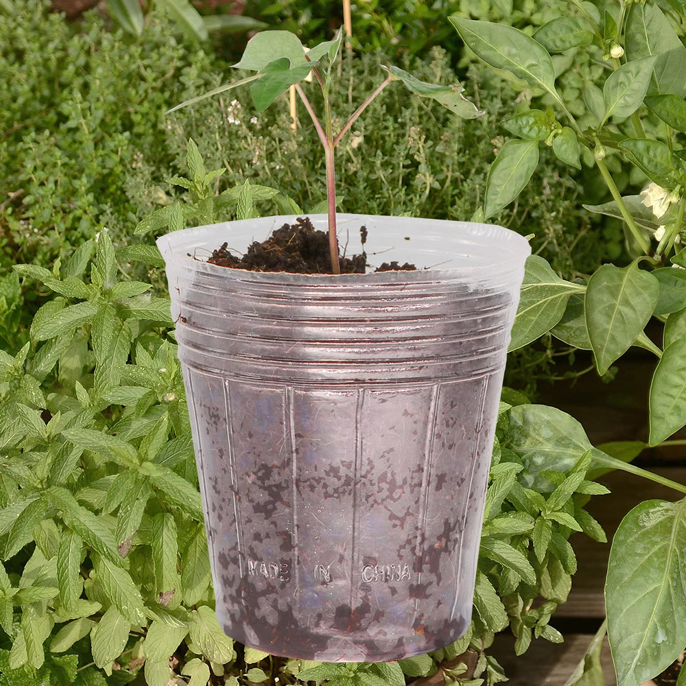 25PCS Transparent Plant Nursery Pots Plastic Planter with Drainage Hole Seed Starting Grow Bag Flower Seedling Cutting Container