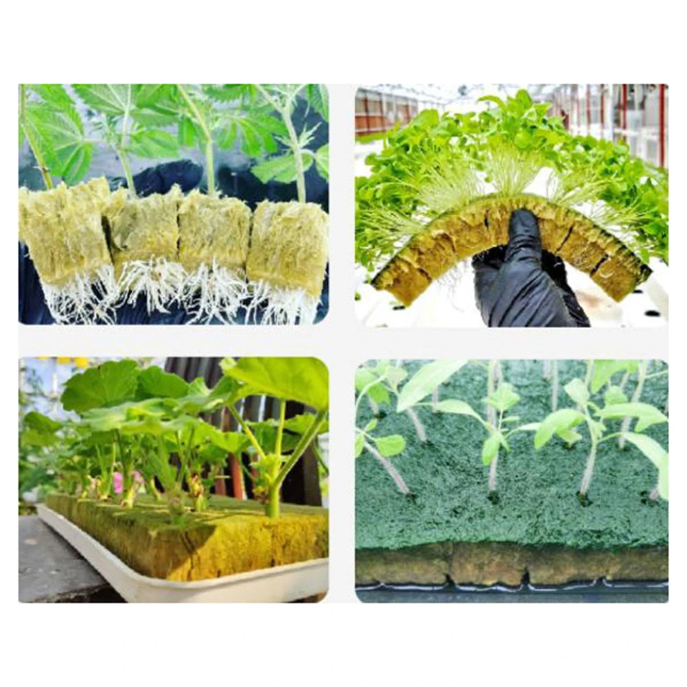 50pcs Hydroponic Grow Media Starter Cubes Plant Cubes Soilless Substrate Seededs Rock Wool Plug Seedling Block