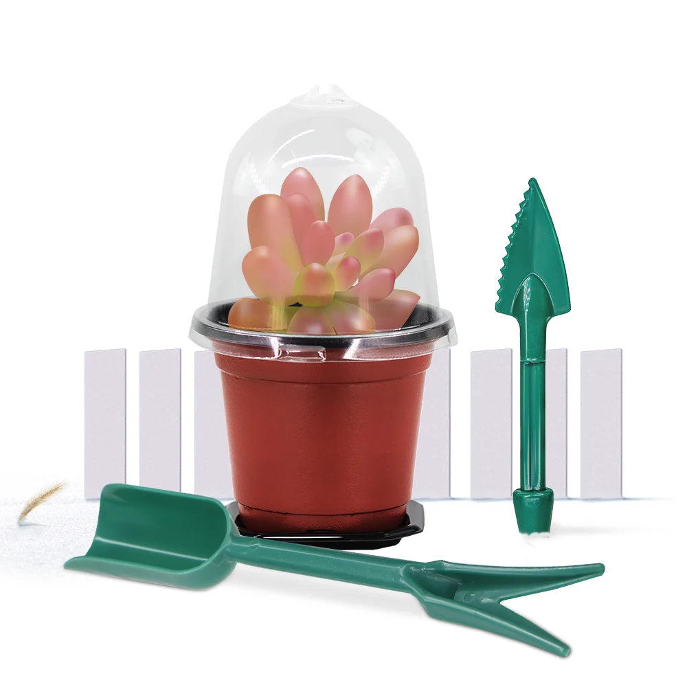 160x90mm Garden Nursery Seedling Cup Kit with Transparent Cover Plant Seed Starting Pot Flower Potting Container Indoor Planting