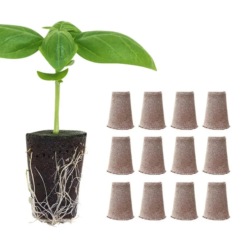 12Pcs Root Growth Sponges Plant Seed Starter Pods Seed Starting Seed Pods Easy To Use Seed Root Sponge Plug For Gardening