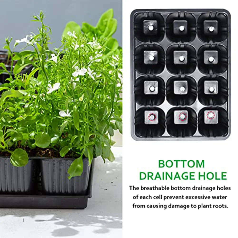 10pcs 12 Cells Plant Starter Trays Germination Propagation For Vegetable Fruit Tray With Breathable Holes Nursery Trays Lids