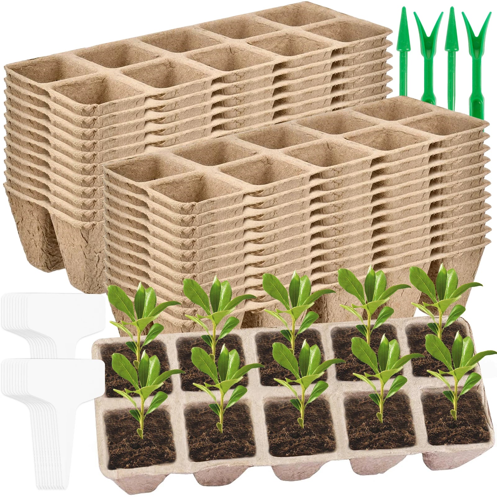 240 Cell Seed Starter Tray Kit Reusable Seedling Tray Breathable Seed Starting Tray Germination Trays with 20 Plants Labels