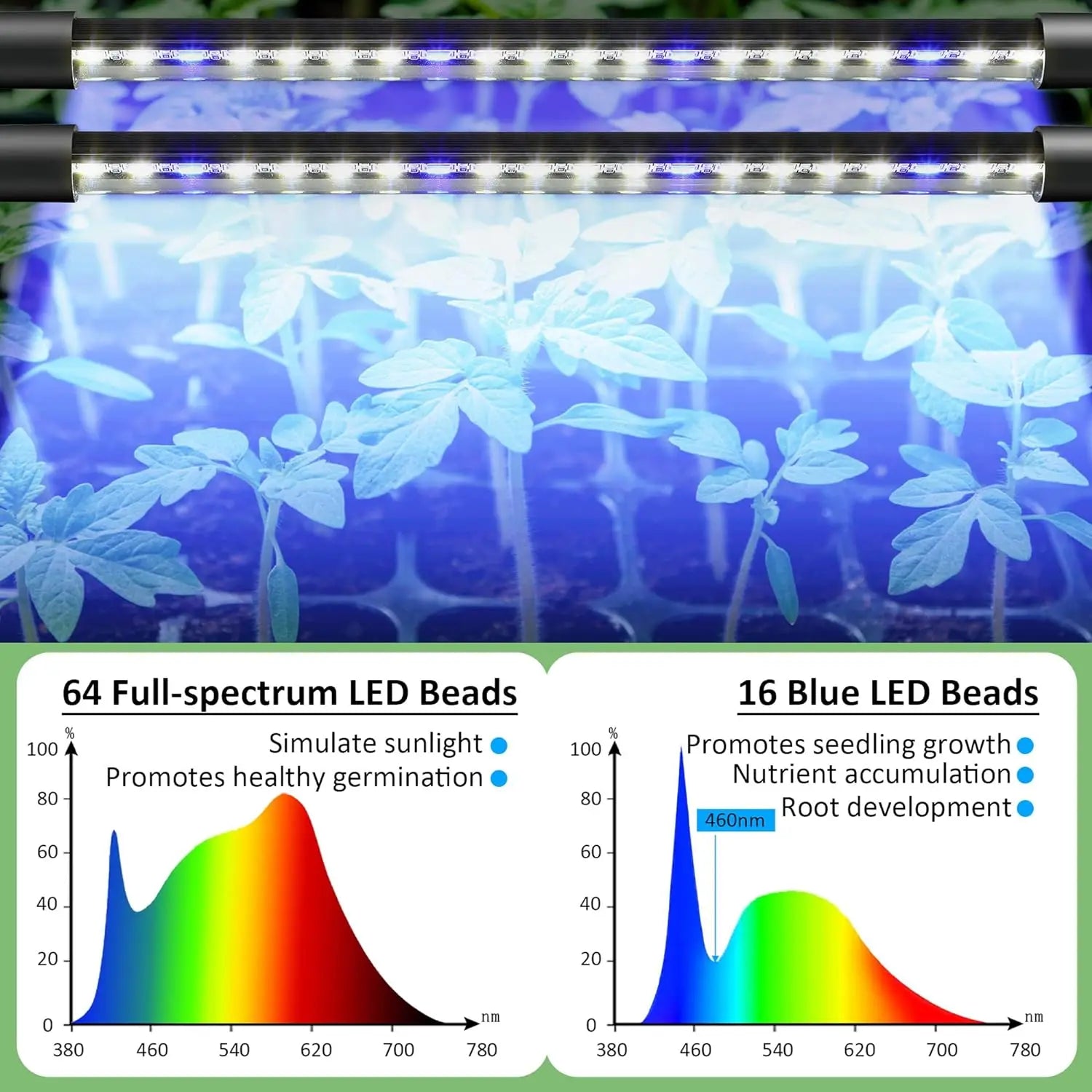 2 Packs Seed Starter Tray with Grow Light High Dome Seed Germination Kit 80 Cells with 4 LED Grow Lights Seedling Starter Kit