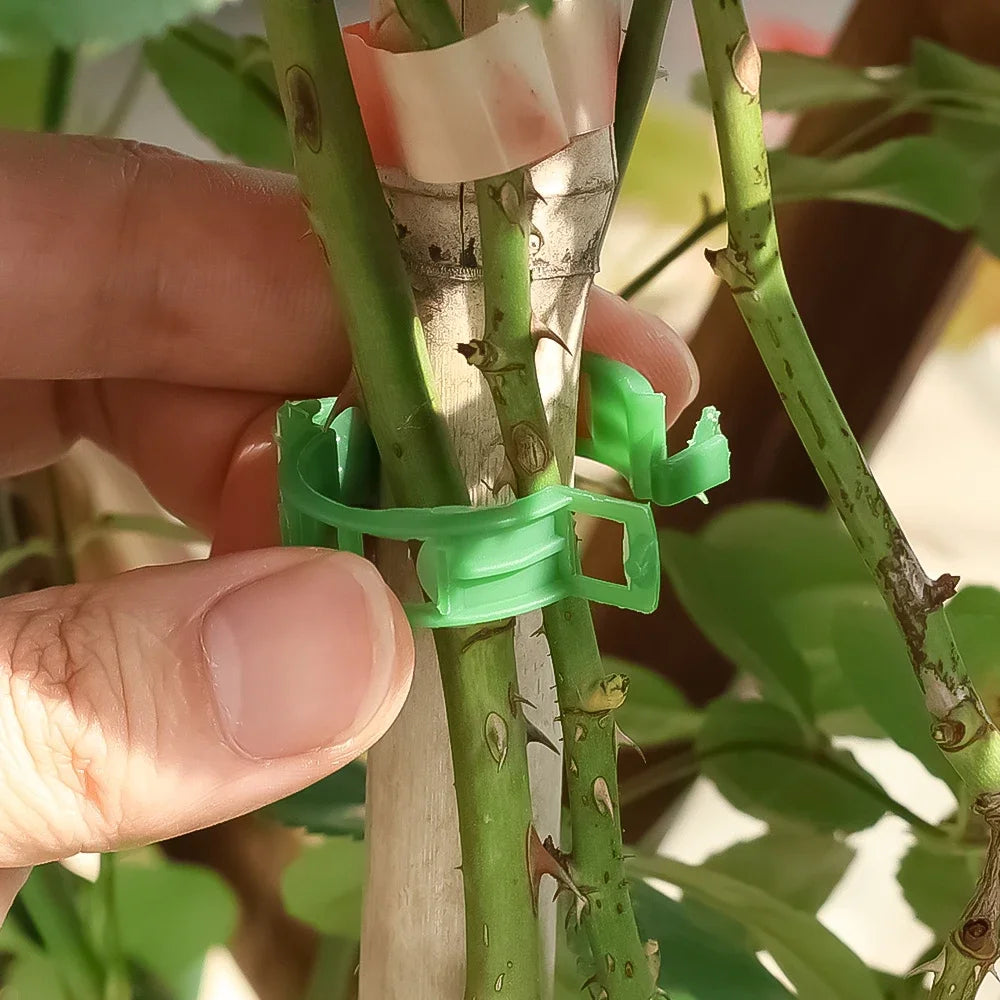 100/1Pcs Plant Support Clips Supports Connects Reusable Grafting Fixing Buckle For Support Grape Vines Tomato Gardening Supplies