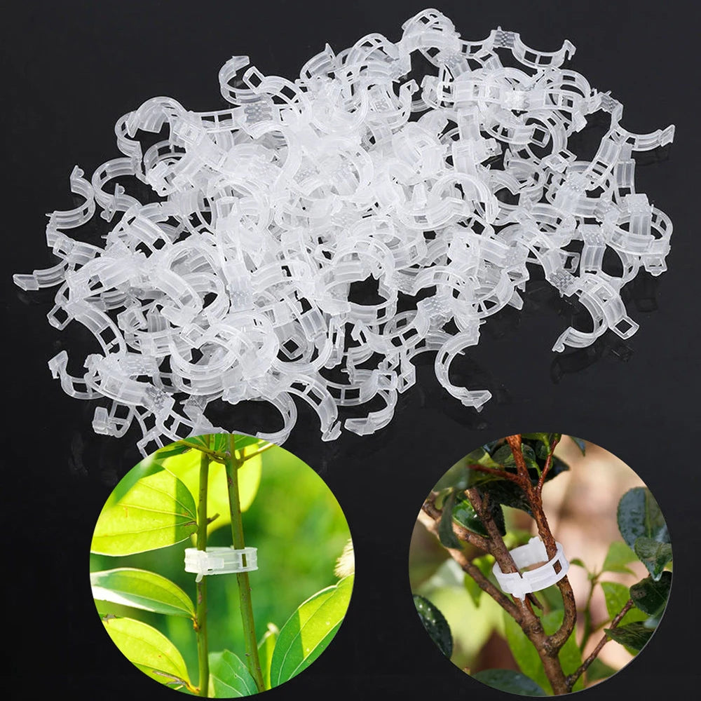 50/100pcs Plastic Plant Clips Supports Connects Reusable Protection Grafting Fixing Tool Gardening Supplies for Vegetable Tomato