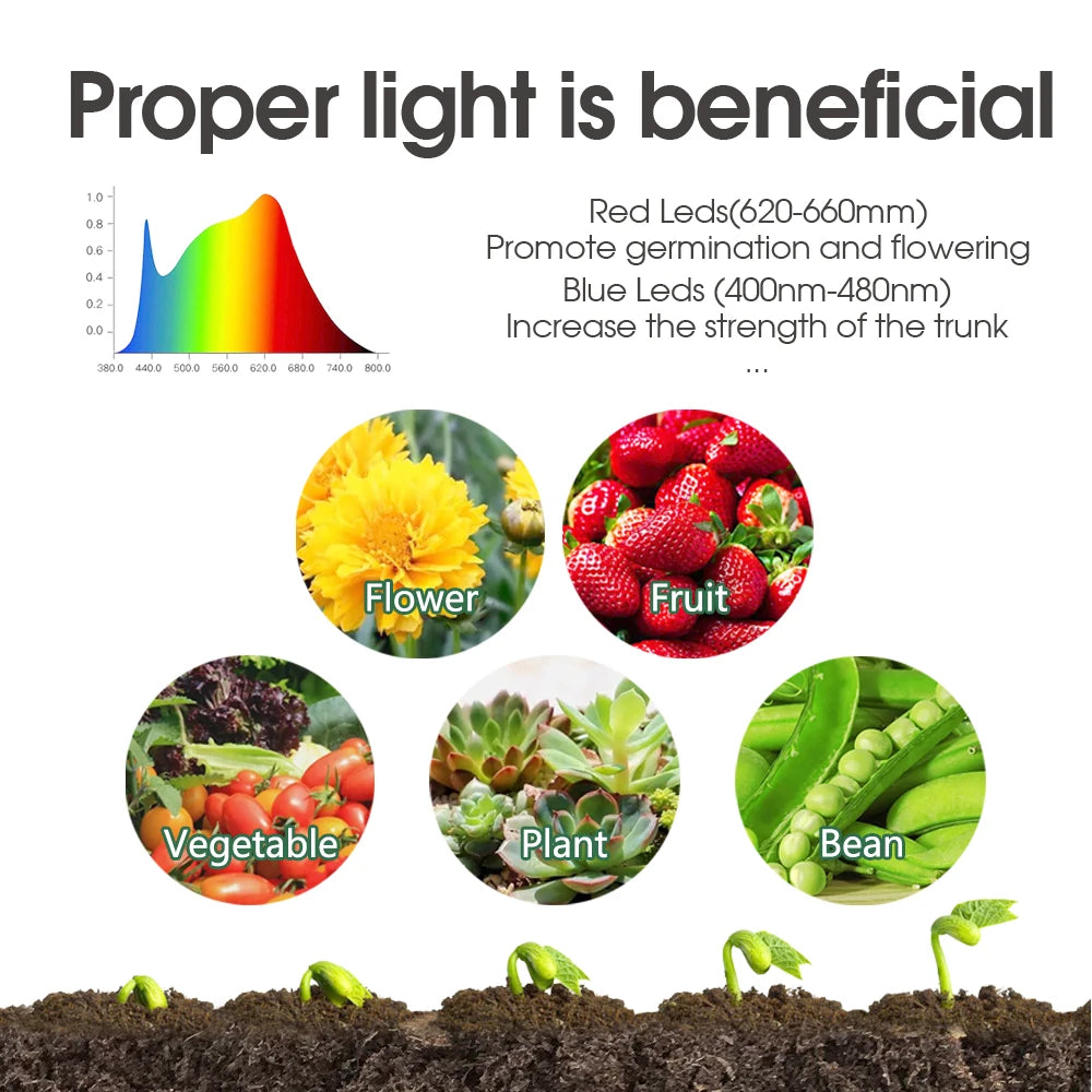 Seeds Starter Germination Box Adjustable 8-4 Beads LED Grow Lights Green Propagation Growing Container Trays Home Garden Nursery