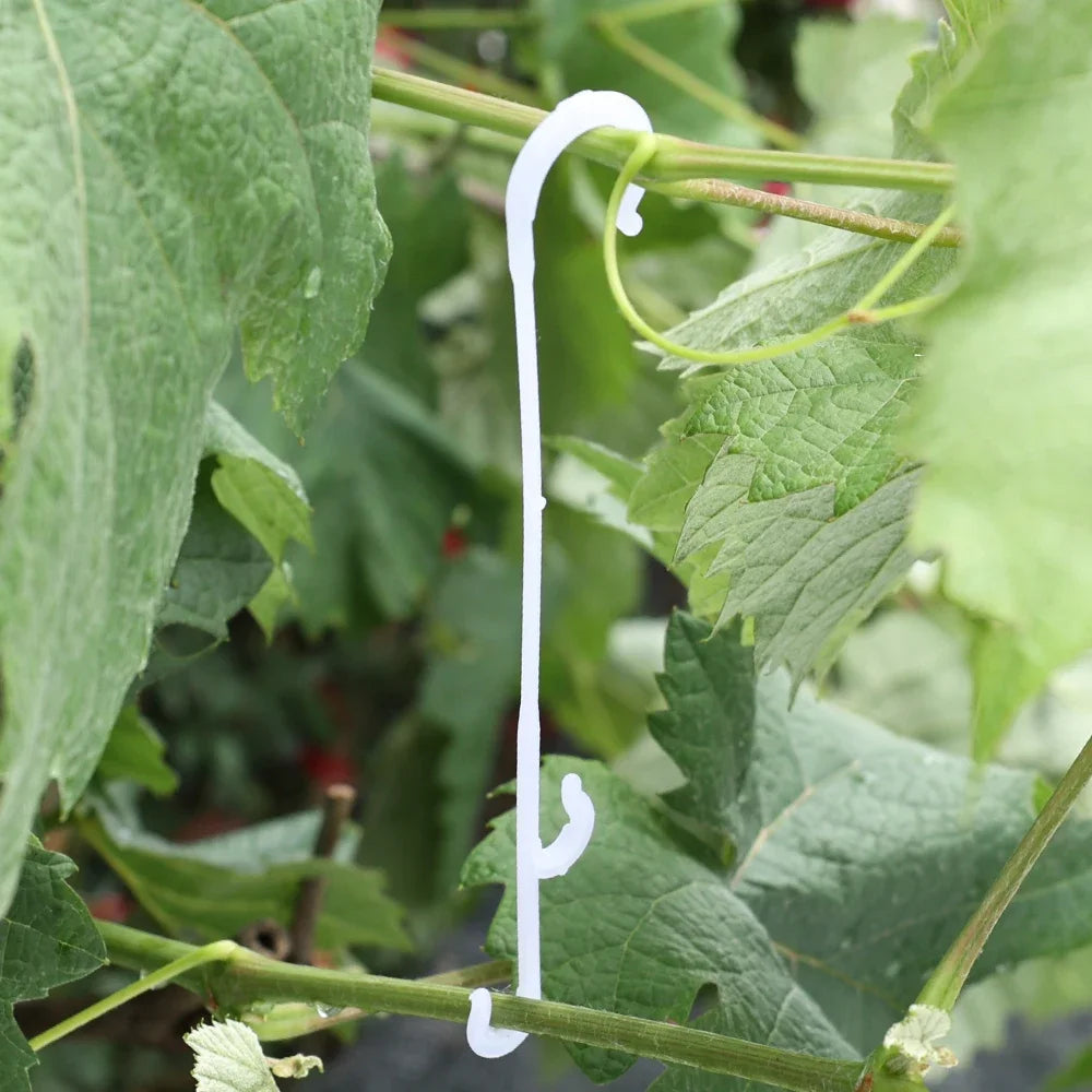 100/1Pcs Plant Tomato Support J Shaped Hooks Reusable Vegetable Plants Trellis Vines Fixed Buckle Hooks For Gardening Supplies