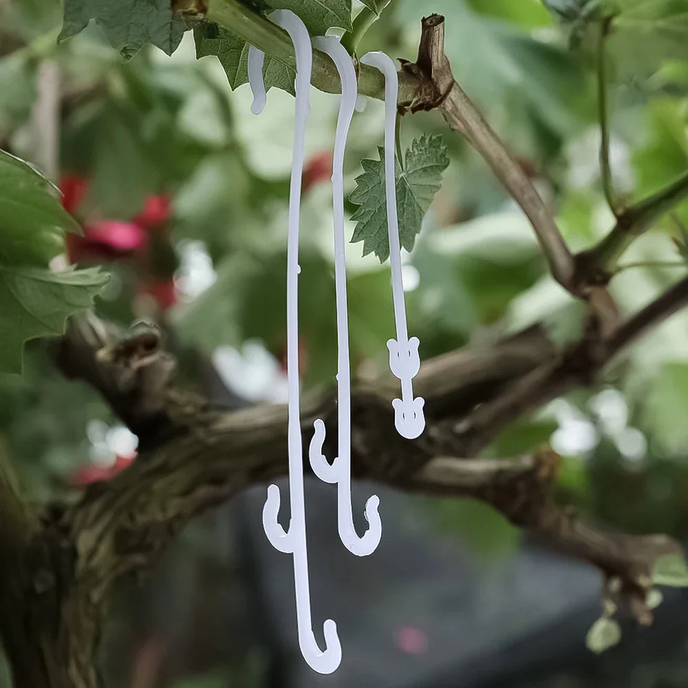 100/1Pcs Plant Tomato Support J Shaped Hooks Reusable Vegetable Plants Trellis Vines Fixed Buckle Hooks For Gardening Supplies