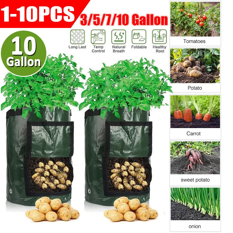 3/5/7/10 Gallon Plant Growing Bags Potato Vegetable PE Grow Bags with Handle Outdoor Garden Thicken Pot Onion Growing Bag 1-10Pc