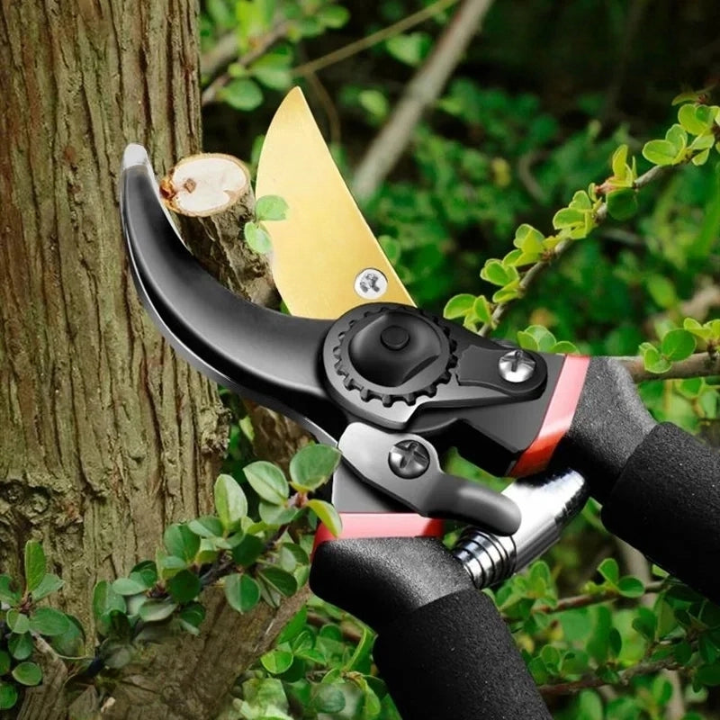 Multifunctional Pruning Shear