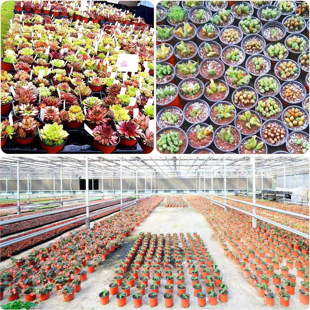 4 Size Plant Pot Garden Nursery Seed Starting Flowerpots Lightweight Succulent Seedling Tray Flower Vegetable Container Box