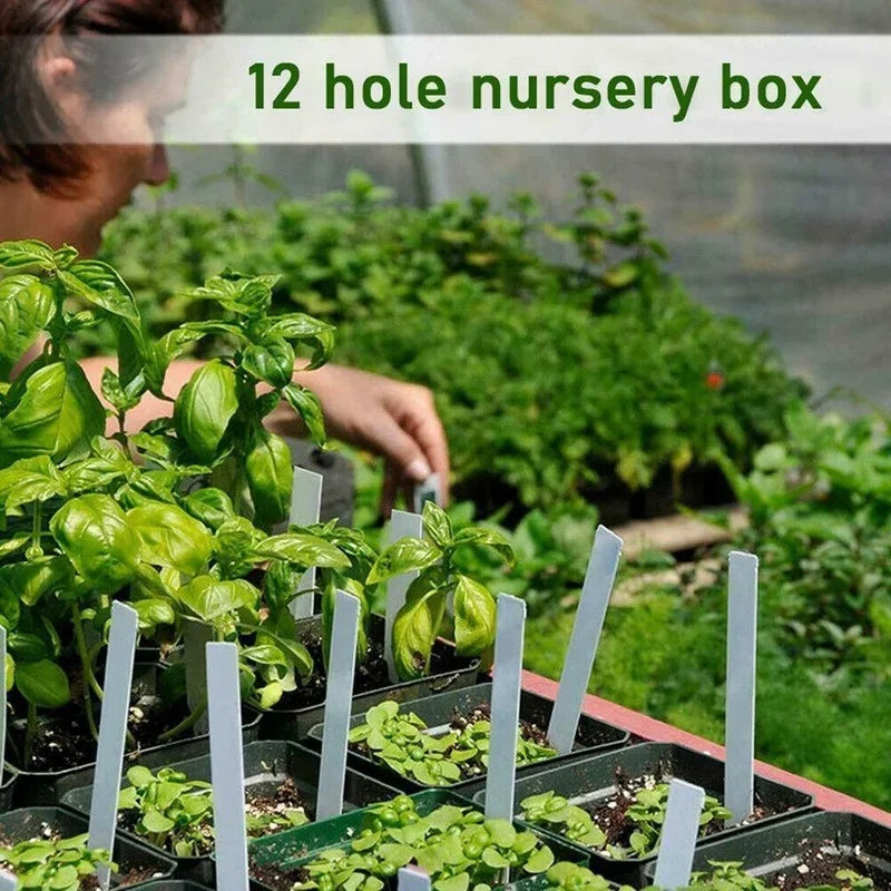 12 Hole Seedling Trays Seed Starter Plant Flower Grow Box Tools Propagation for Home Gardening Starting Germination Supplies