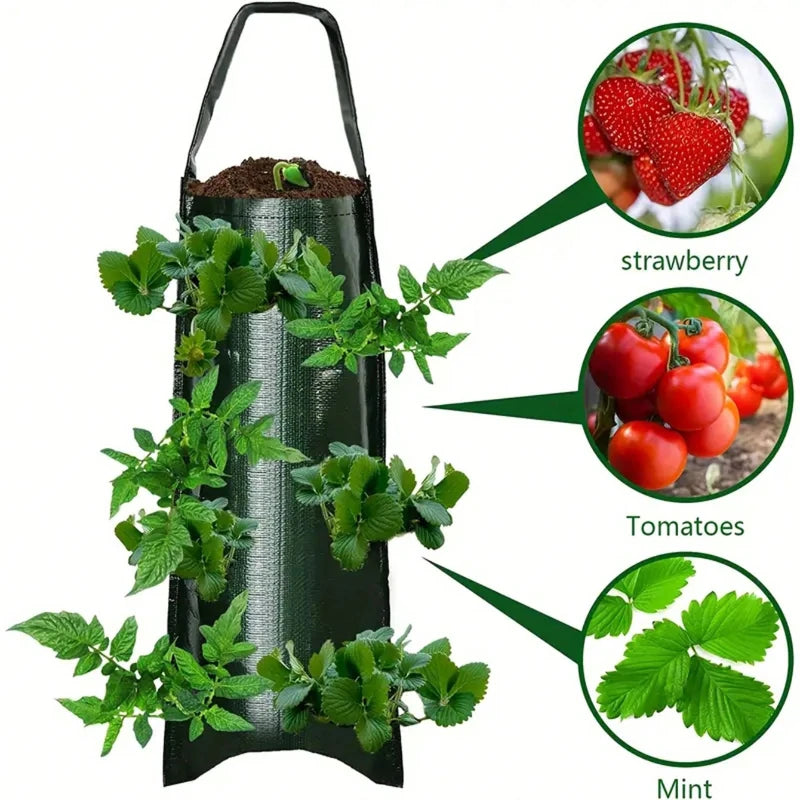 Strawberry Planting Bag