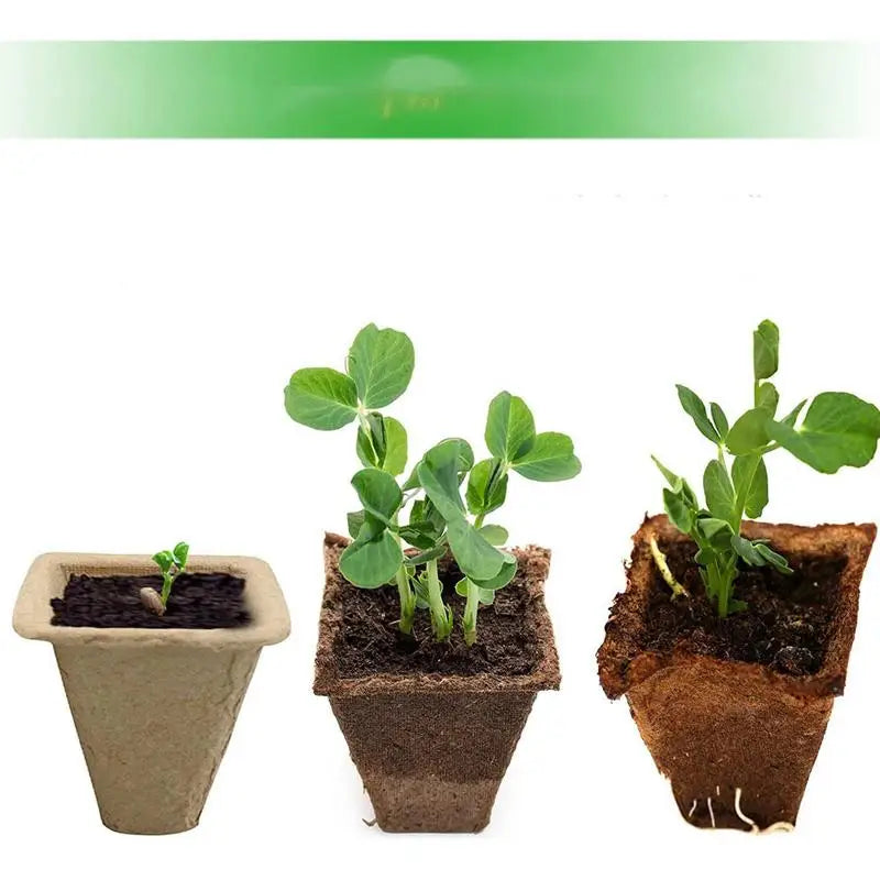 Seedling Starter Trays Garden Nursery Seed Starting Flowerpots Home Garden Organic Germination Seed Tray Transplant Nursery Pot