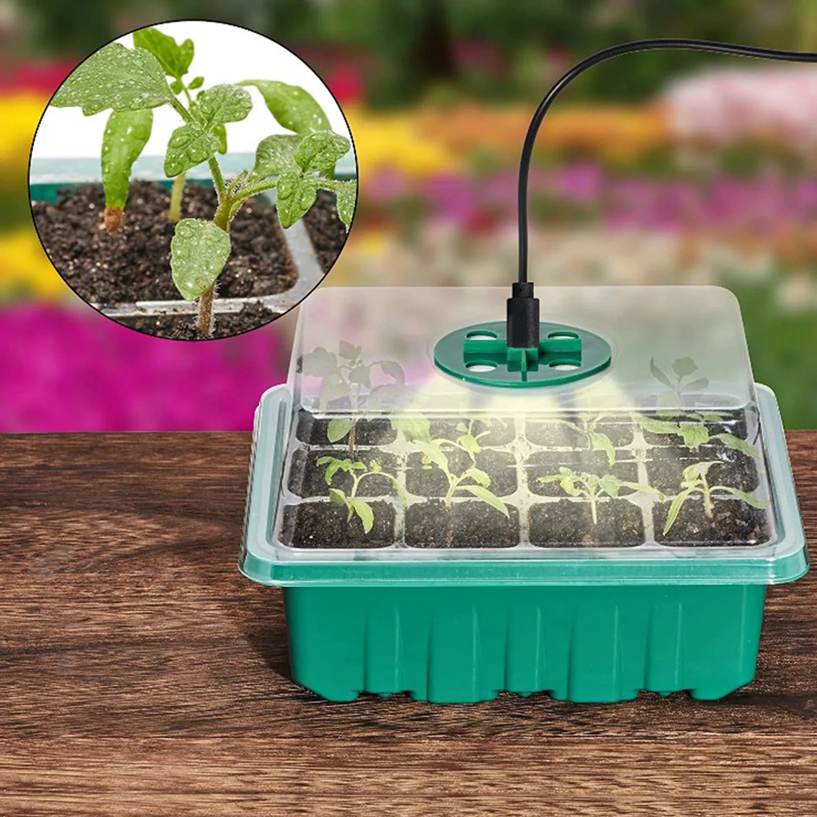 5Pcs Seed Starter Trays with Grow Light Adjustable Humidity Seed Starting Trays Nursery Tray Greenhouse Germination USB Powered