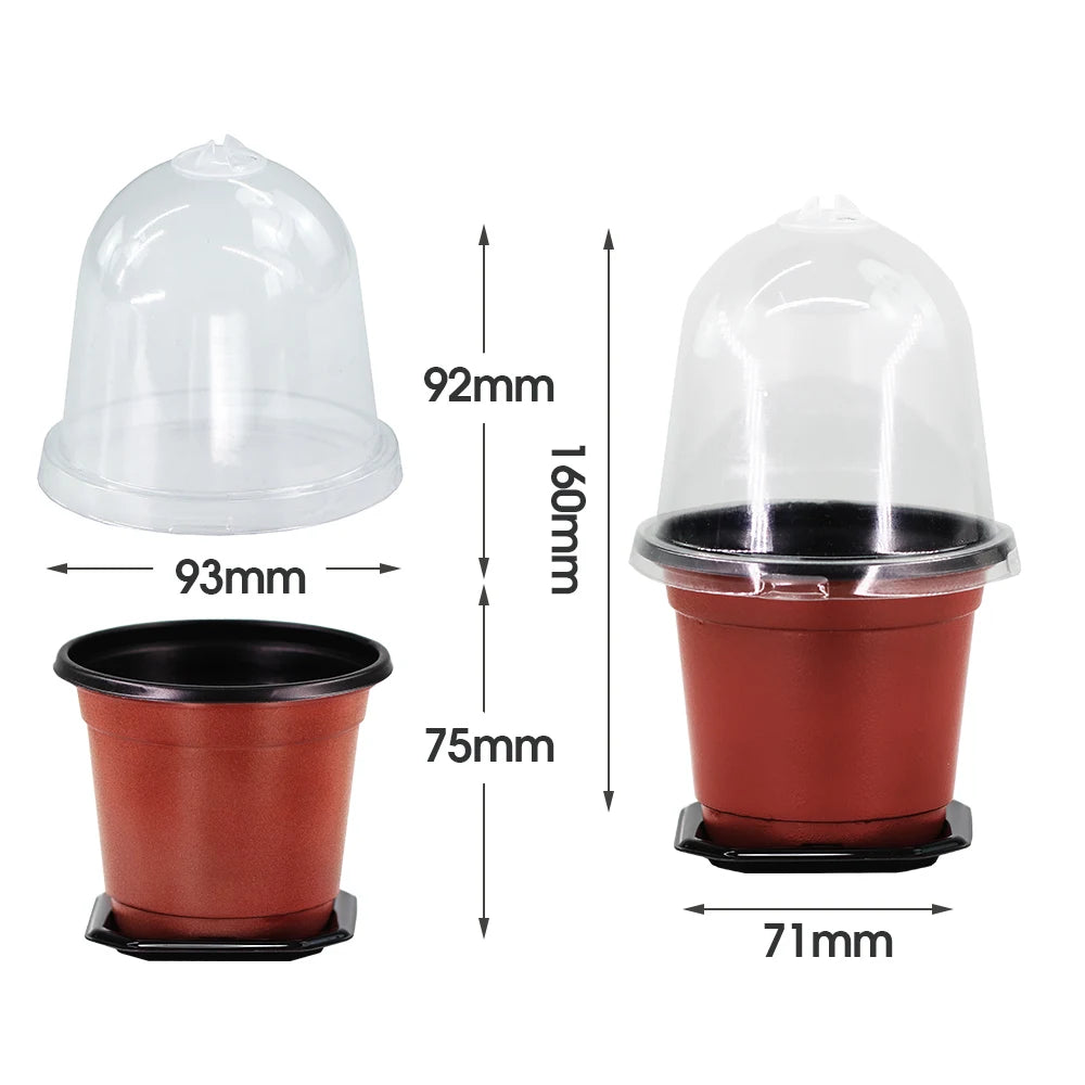 160x90mm Garden Nursery Seedling Cup Kit with Transparent Cover Plant Seed Starting Pot Flower Potting Container Indoor Planting