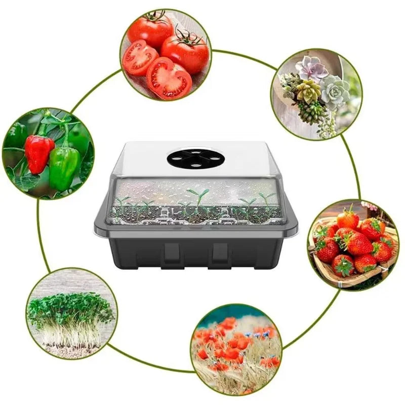 New 12 Holes Seedling Trays Seed Starter Starter Plant Flower Grow Box Propagation for Gardening Grow Starting Germination Box