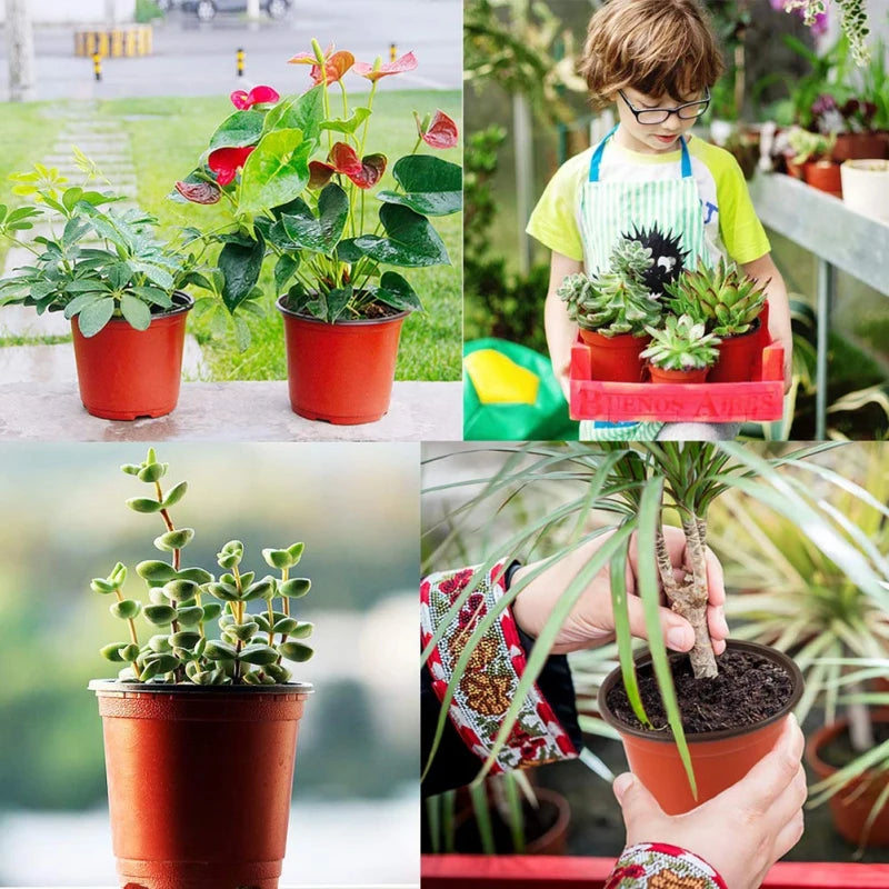 100 Pcs Plastic Plants Nursery Pot Seedlings Flower Plant Container Seed Starting Pots with Drainage Hole for Home Outdoor