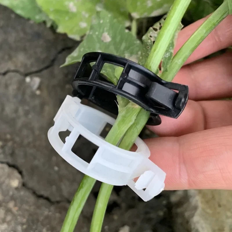 100/1Pcs Plant Support Clips Supports Connects Reusable Grafting Fixing Buckle For Support Grape Vines Tomato Gardening Supplies