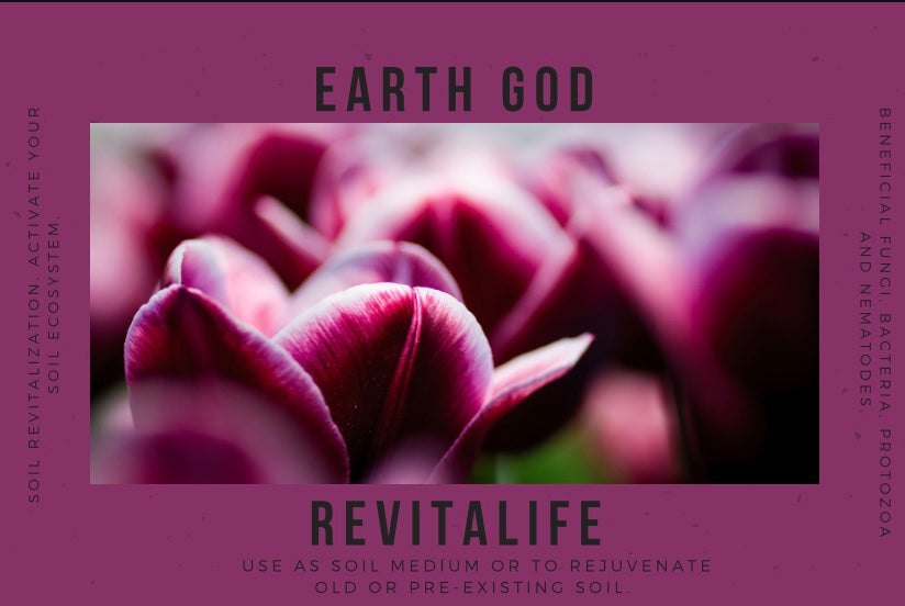 RevitaLife